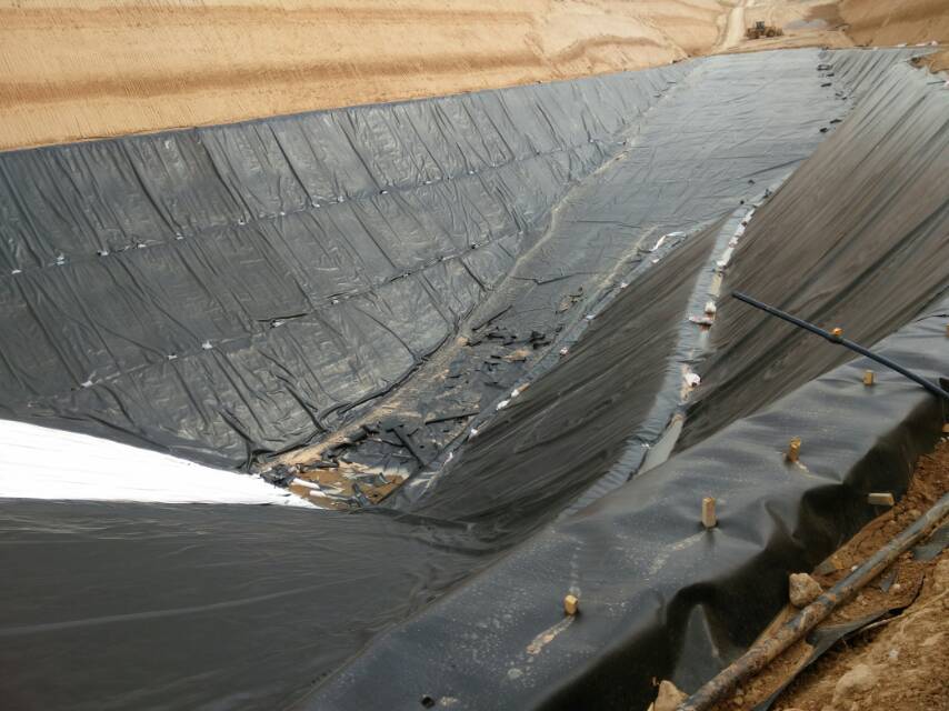 �h(hu��n)����Ĥ���B����