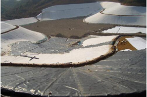 �������������(ch��ng)���B����